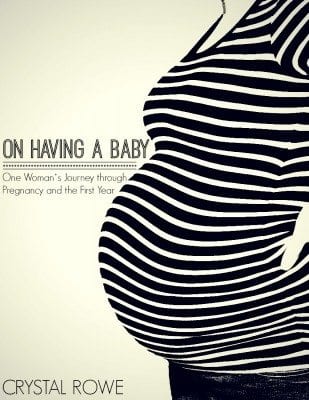 On Having a Baby: One Woman’s Journey through Pregnancy and the First Year