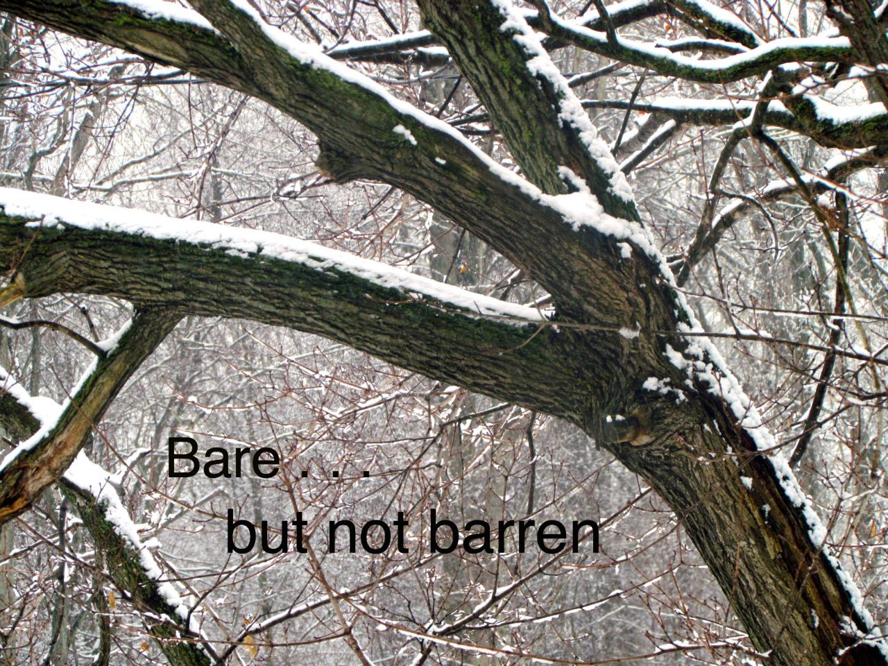 when you’re bare but not barren